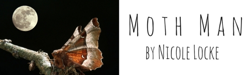Moth Man title banner